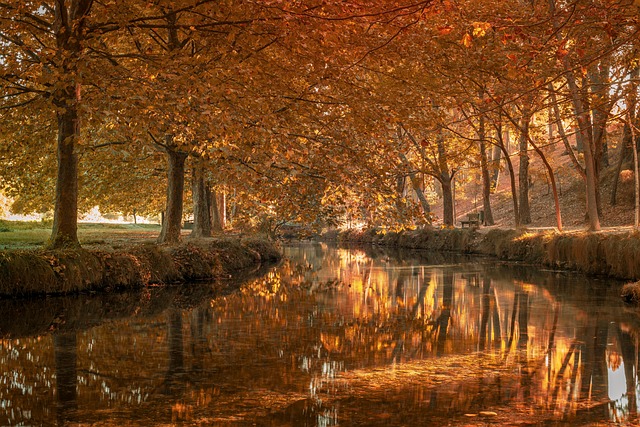 Equipo de educadores financieros de ClariFin reunidos en una oficina luminosa en Madrid